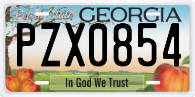 GA license plate PZX0854