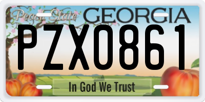GA license plate PZX0861