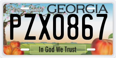 GA license plate PZX0867