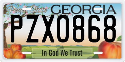 GA license plate PZX0868