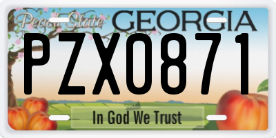 GA license plate PZX0871
