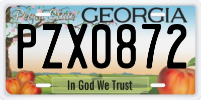 GA license plate PZX0872