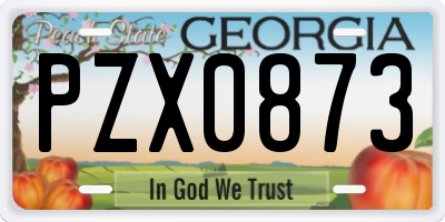 GA license plate PZX0873