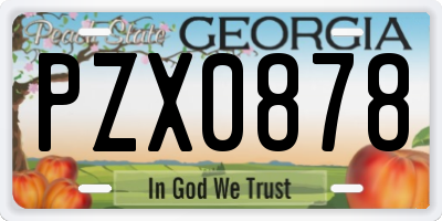 GA license plate PZX0878