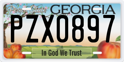 GA license plate PZX0897
