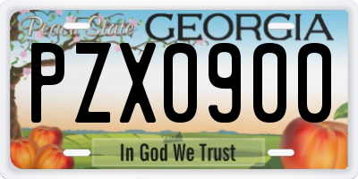 GA license plate PZX0900