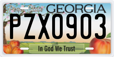 GA license plate PZX0903