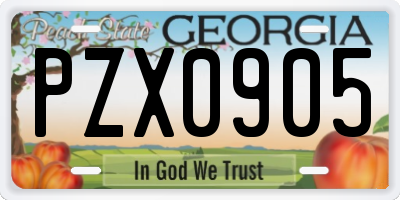 GA license plate PZX0905