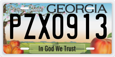 GA license plate PZX0913