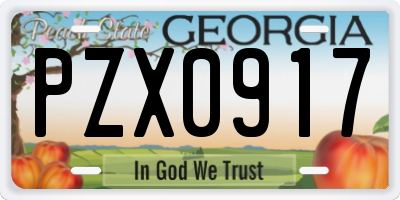 GA license plate PZX0917