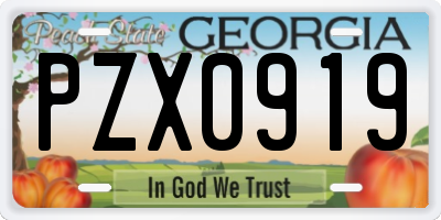 GA license plate PZX0919