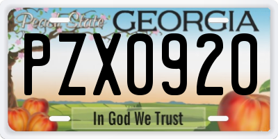 GA license plate PZX0920
