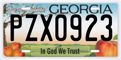 GA license plate PZX0923