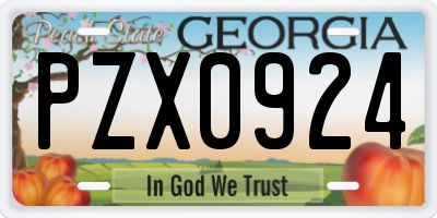 GA license plate PZX0924