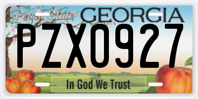 GA license plate PZX0927