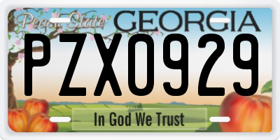 GA license plate PZX0929