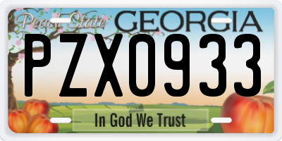 GA license plate PZX0933