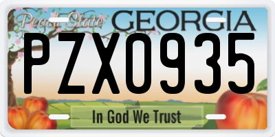 GA license plate PZX0935