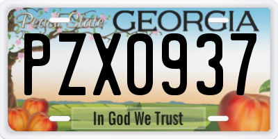 GA license plate PZX0937