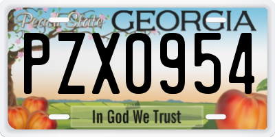 GA license plate PZX0954