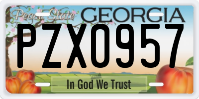 GA license plate PZX0957