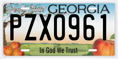 GA license plate PZX0961