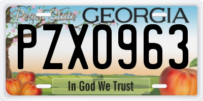 GA license plate PZX0963