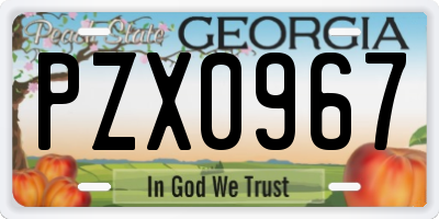 GA license plate PZX0967