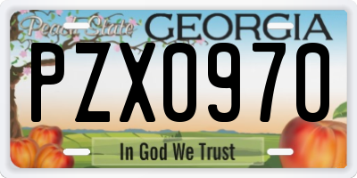 GA license plate PZX0970