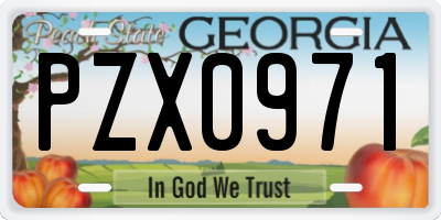 GA license plate PZX0971