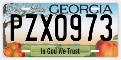 GA license plate PZX0973