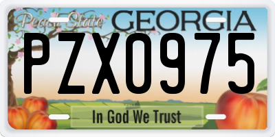 GA license plate PZX0975