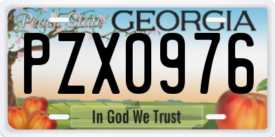 GA license plate PZX0976