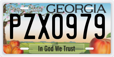GA license plate PZX0979