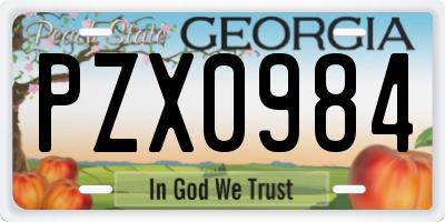 GA license plate PZX0984