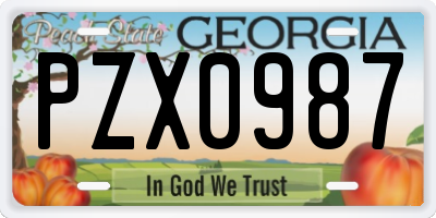 GA license plate PZX0987