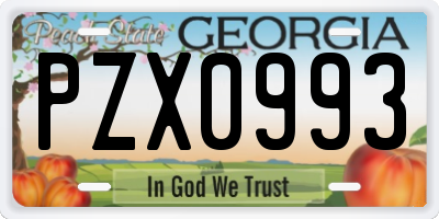 GA license plate PZX0993