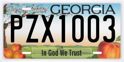 GA license plate PZX1003