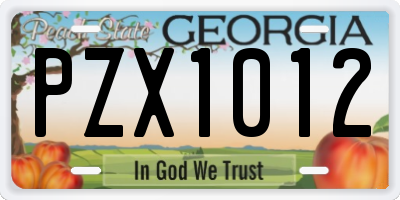GA license plate PZX1012