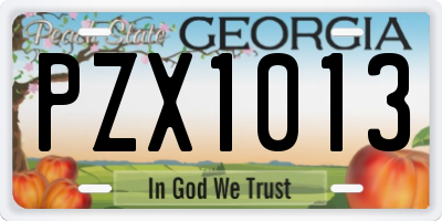 GA license plate PZX1013