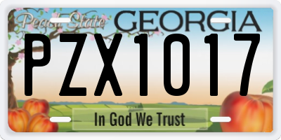 GA license plate PZX1017