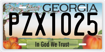 GA license plate PZX1025