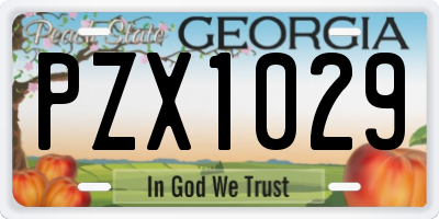 GA license plate PZX1029
