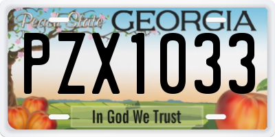 GA license plate PZX1033