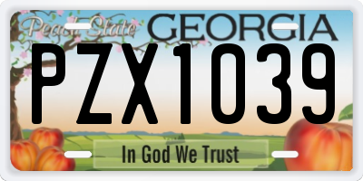 GA license plate PZX1039