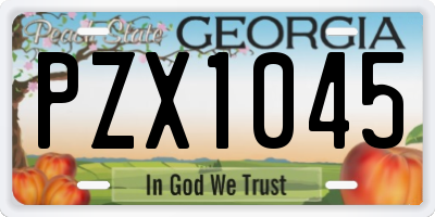 GA license plate PZX1045