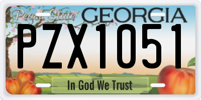 GA license plate PZX1051