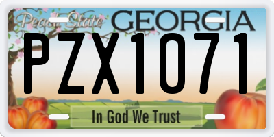 GA license plate PZX1071