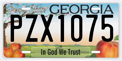GA license plate PZX1075
