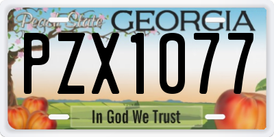 GA license plate PZX1077